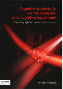 Cognitive plasticity in normal aging and mild cognitive impairment. Shedding light on prefrontal activation door Vermeij, A.